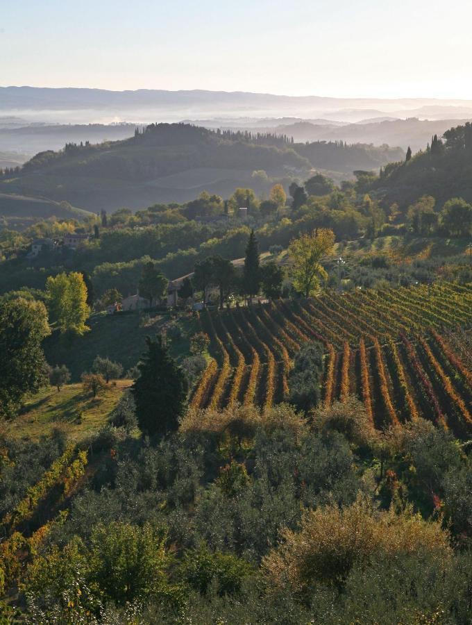 Agriturismo & Winery Il Bacio Villa Tavarnelle Val di Pesa Kültér fotó