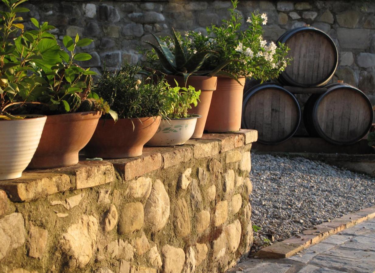 Agriturismo & Winery Il Bacio Villa Tavarnelle Val di Pesa Kültér fotó