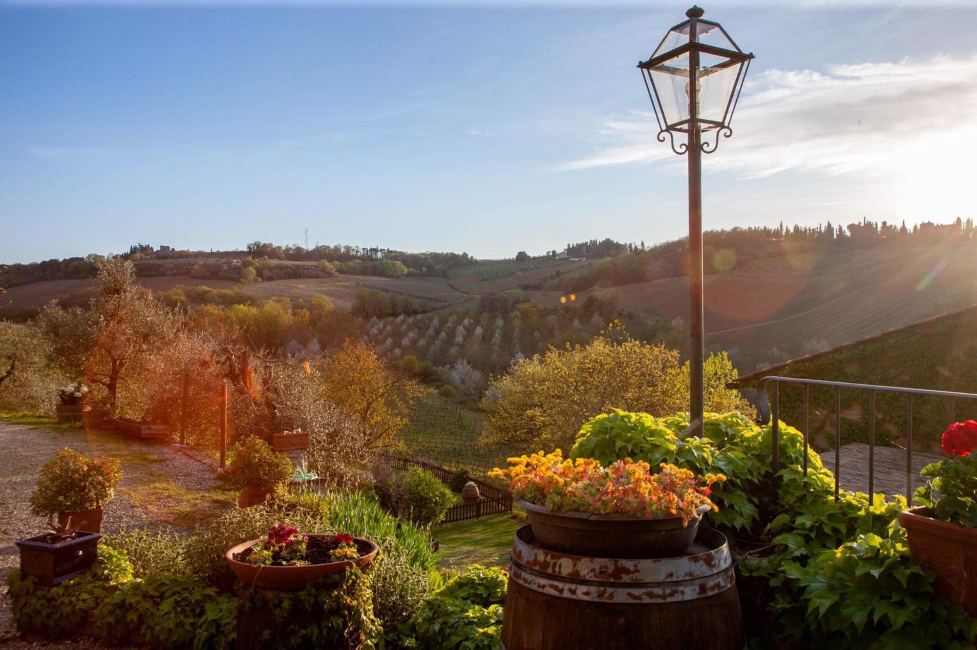 Agriturismo & Winery Il Bacio Villa Tavarnelle Val di Pesa Kültér fotó