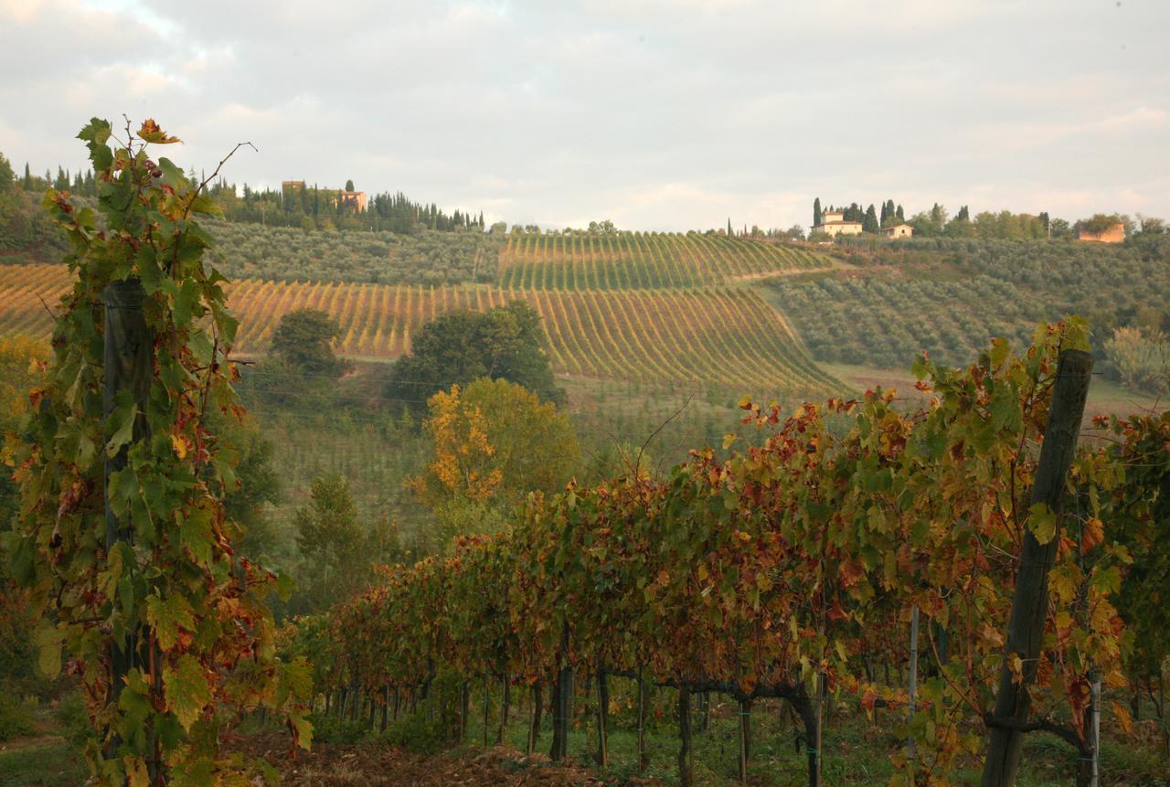 Agriturismo & Winery Il Bacio Villa Tavarnelle Val di Pesa Kültér fotó